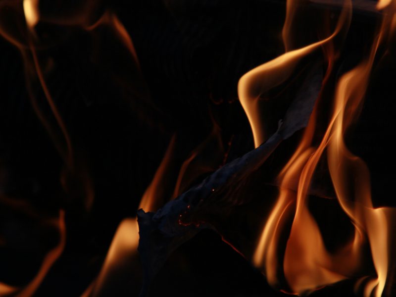 shutterstock 1623117706